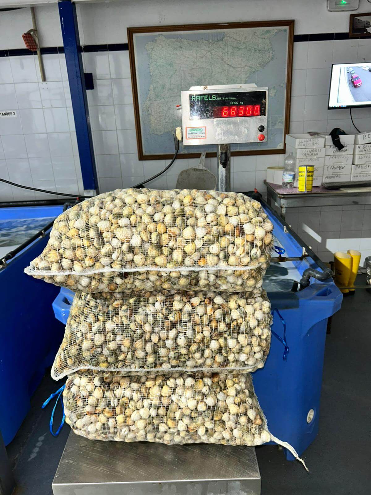 Básculas de precisión